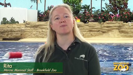 Brookfield Zoo's Seven Seas Staff Part 7 - Rita