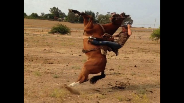 Tough Girl Gets Tossed From Horses Back