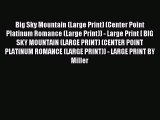 [PDF Download] Big Sky Mountain (Large Print) (Center Point Platinum Romance (Large Print))