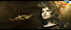 Tere Baghair Episode 12 Full HUM TV Drama 13 Jan 2016
