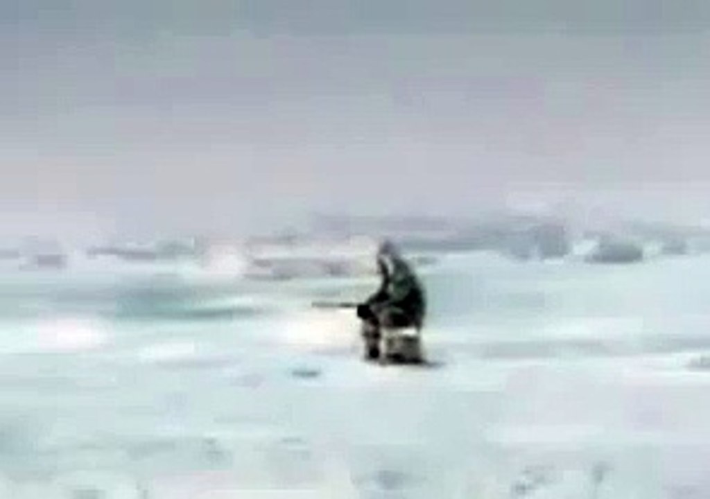 (衝撃)シャチに殺害される人！決定的瞬間！海砂浜 (Impact) who are killed in the killer whale! Decisive moment! Sea