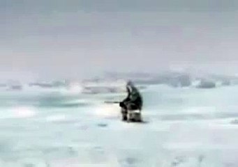 (衝撃)シャチに殺害される人！決定的瞬間！海砂浜 (Impact) who are killed in the killer whale! Decisive moment! Sea