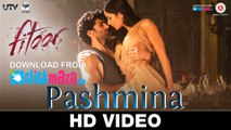 Pashmina - HD Video Song - Fitoor - Aditya Roy Kapur, Katrina Kaif - Amit Trivedi - 2016