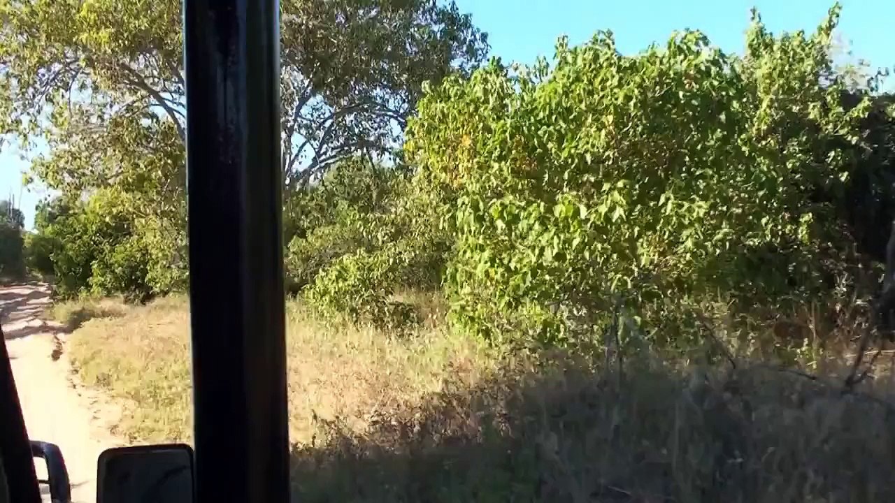 Chobe National Park: Botswana