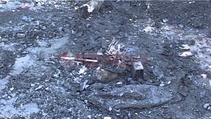 Lushnje, digjet makina e vëllait të një efektivi policie - Ora News- Lajmi i fundit-