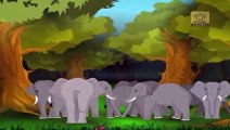 Jataka Tales - The Greedy Forester - Moral Stories for Children - Animated / Cartoon Stori