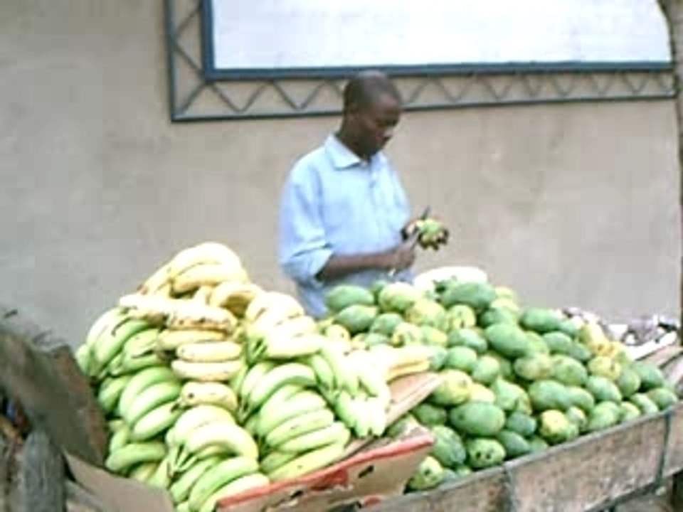 taxe de thunes dakaroise