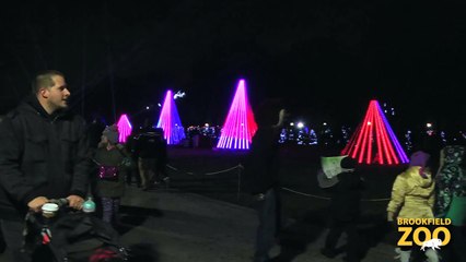 Holiday Magic at Brookfield Zoo