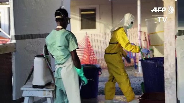 Le virus ébola éradiqué d'Afrique de l'ouest