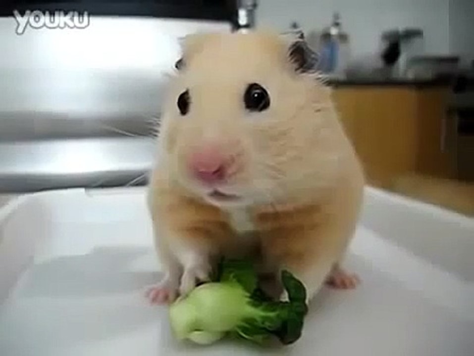 De repente, lembrei de uma coisa!