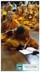 Tintu-Mon - Cute Sleeping -