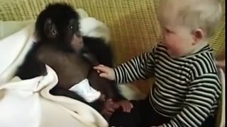 L'enfant ressemble à un singe