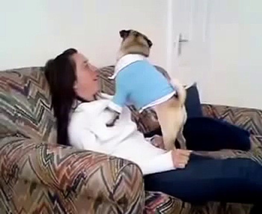 Pug chante!
