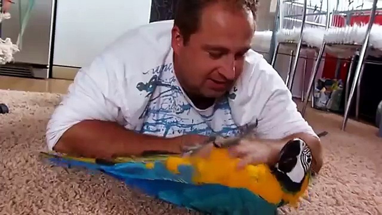 Un homme avec son ami à plumes