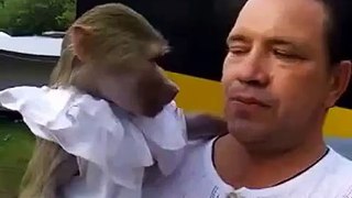 Un homme crie avec un singe!