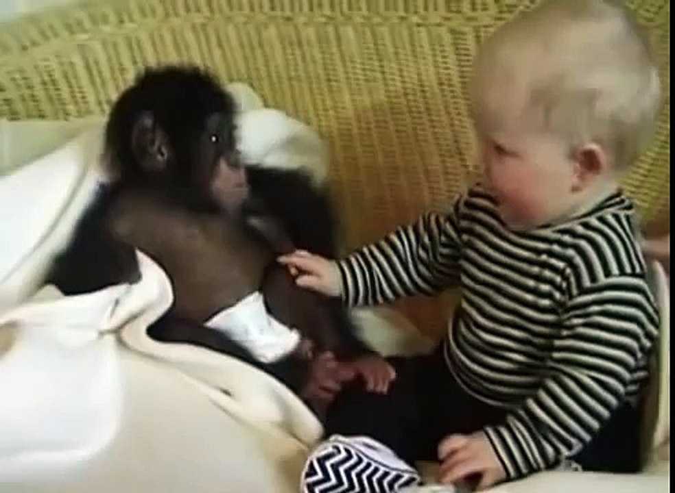 子供が猿のようになります。