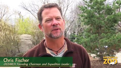 Global Shark Research Leader Engages Students at Brookfield Zoo
