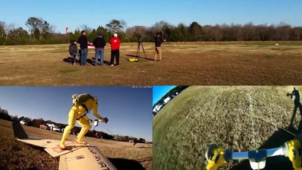 Connaissez-vous le wingboard, le nouveau sport aérien de l'extrême ?