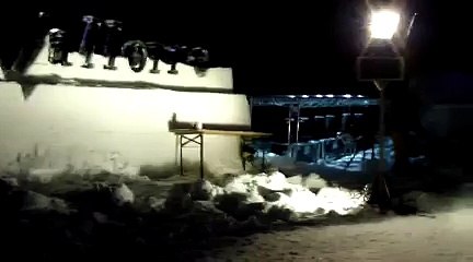 Les sculptures sur glace