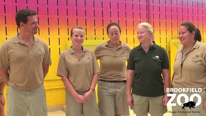 Seven Seas Staff Take the ALS Ice Bucket Challenge!