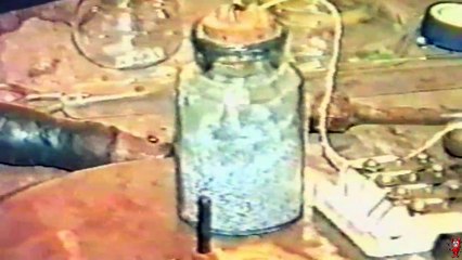 Волки по партии