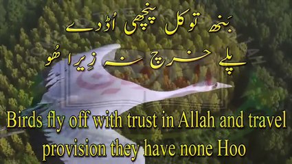 Daal Daleelan Chor Wajudon, Kalaam Abyat Hazrat Sakhi Sultan Bahoo RA (Iqbal Bahoo)