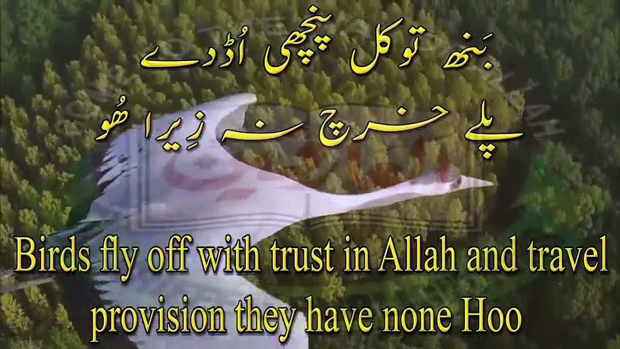 Daal Daleelan Chor Wajudon, Kalaam Abyat Hazrat Sakhi Sultan Bahoo RA (Iqbal Bahoo)