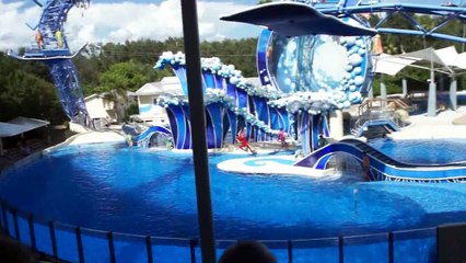 Apresentação dos Golfinhos em