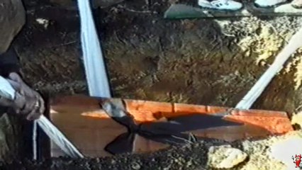 Дело Вэпса (Вся бандитская власть)