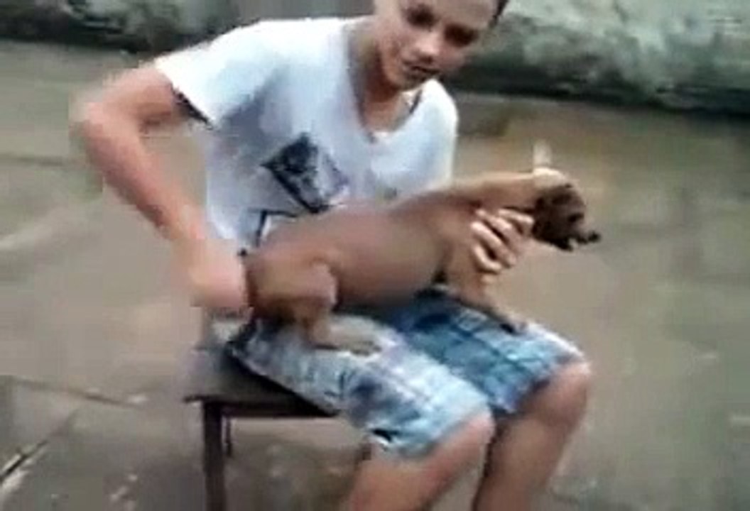 Whatsapp funny dog
