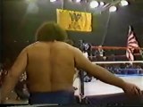 Andre the Giant & Ivan Putski vs Mr Fuji & Tiger Chung Lee   Championship Wrestling Feb 11th, 1984