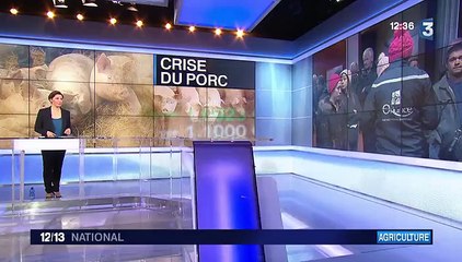 Crise porcine : "les bonnets roses" réclament une augmentation du prix de la viande
