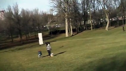 DANGER ! Un aigle royal essaie d'emporter un bébé !