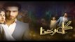 Gul E Rana Episode 11 Promo HUM TV Drama 09 Jan 2016