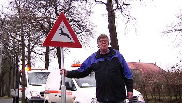 Zie je een ree? Pas op! Meestal komen er nog meer achteraan - RTV Noord