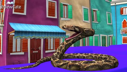 Animals Cartoons Train Song | Wheels On The Bus | Finger Family Rhymes