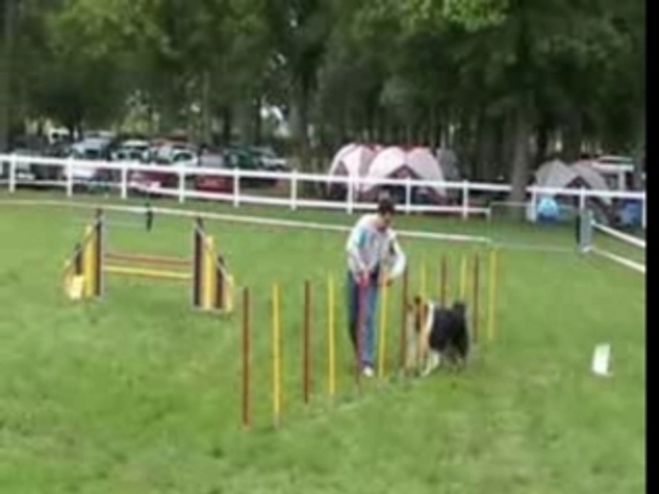 Agylity dreamy lion d'angers 2007