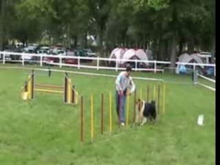 Agylity dreamy lion d'angers 2007