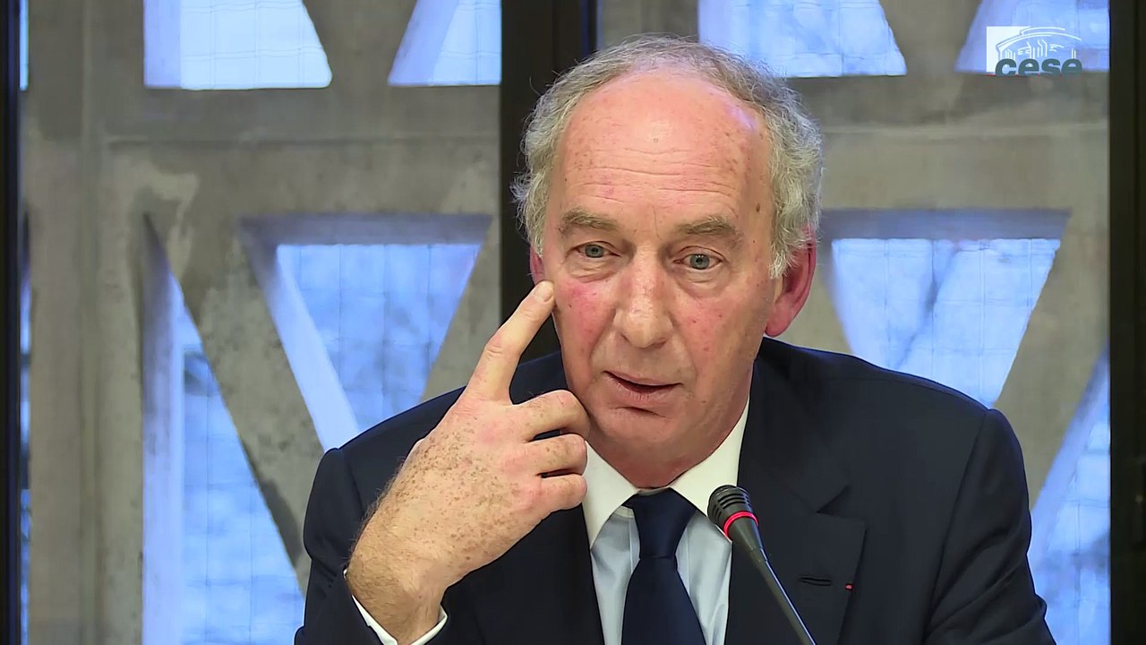 Audition de Jean-Dominique GIULIANI (Fondation Robert Schuman) - cese