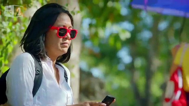 Pourquoi les singes volent les touristes ?