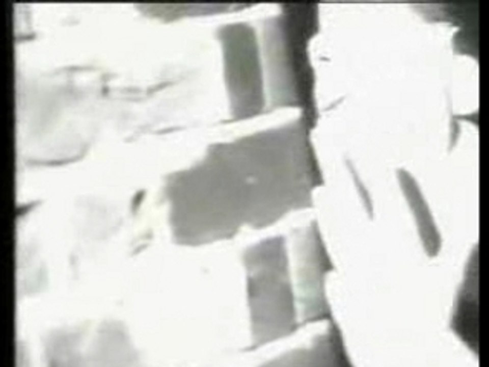 Nitzer ebb - lightning man