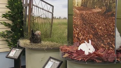 Иисус Оживляет Животных)))