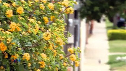 qn-engañadas-130116