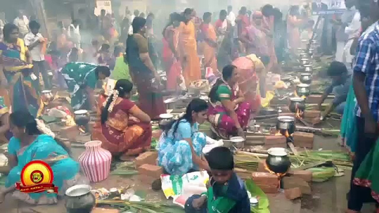 உலக தமிழர் அனைவருக்கும் பொங்கல் நல்வாழ்த்துகள் - சீமான் | Wish you happy pongal 2016 - Seeman | 12 January 2016