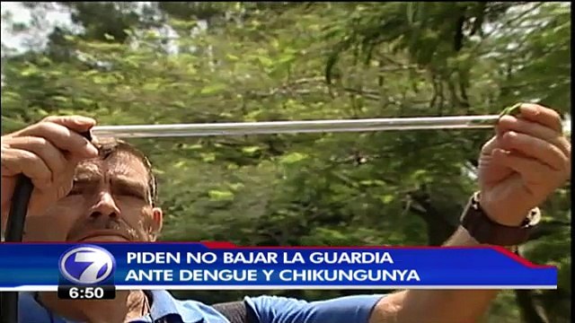 tn7-dengue-chikunguña-140116