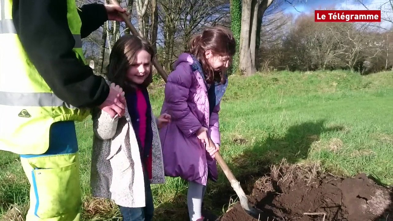 Quimperlé. Les enfants plantent des pommiers