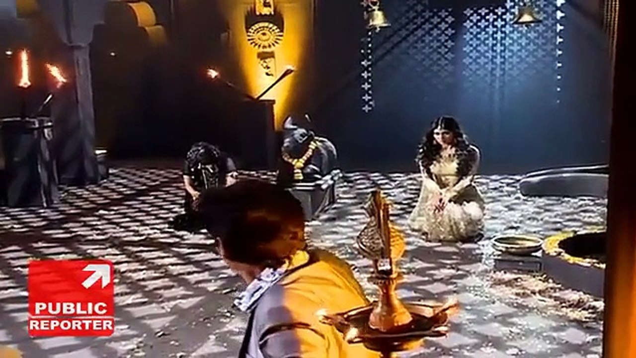 Naagin Drama 10th January 2016 Episode