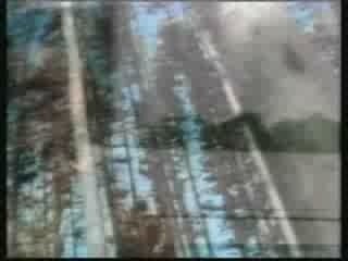 B-52's - Planet Claire