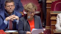 QAG de Dany Michel du 14 janvier 2016