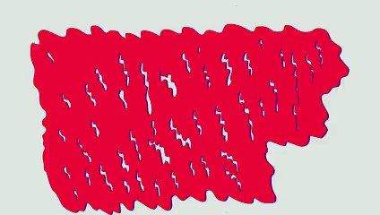 BATMAN 5 THINGS YOU DIDN'T KNOW ABOUT TYLER, THE CREATOR  DRIVER'S TEST